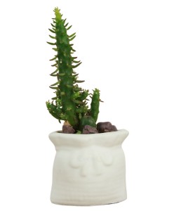 Mini Çiçek Saksı Küçük Sukulent Beyaz Kaktüs Saksısı Kese Model